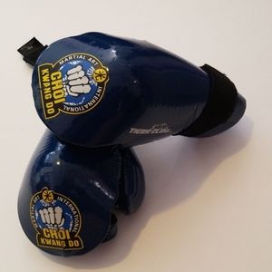 Karate gloves
